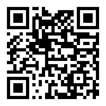 QR Code L - Primaria BORŞ