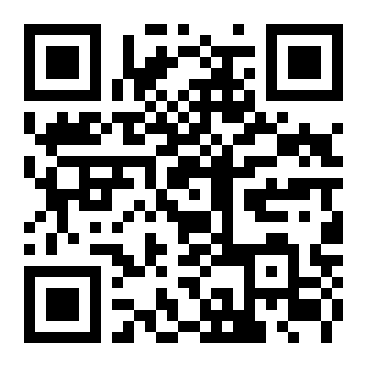 QR Code L - Primaria MUNICIPIUL REGHIN