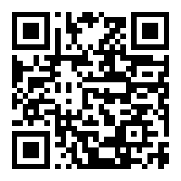 QR Code L - Primaria PUNGHINA