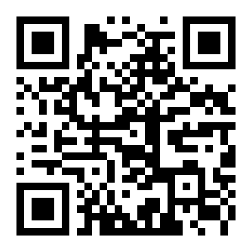 QR Code L - Primaria MUNICIPIUL SATU MARE