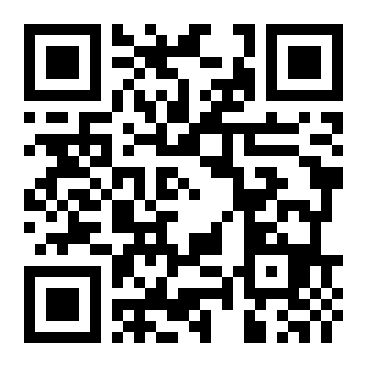 QR Code L - Primaria MUNICIPIUL VASLUI