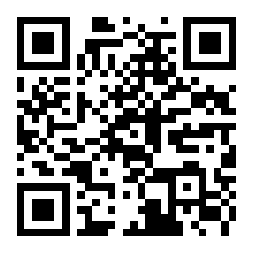 QR Code L - Primaria HOCENI