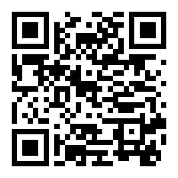 QR Code L - Primaria BICHIŞ