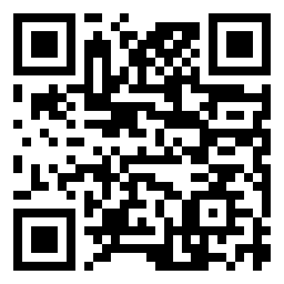 QR Code L - Primaria MIRCEA VODĂ