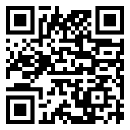 QR Code L - Primaria PLEŞOI