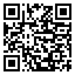 QR Code L - Primaria PUNGHINA