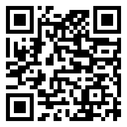 QR Code L - Primaria BORŞA