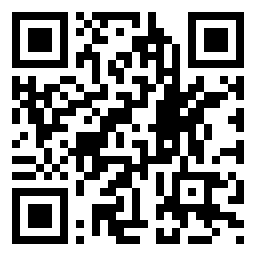 QR Code L - Primaria DRIDU