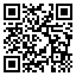 QR Code L - Primaria MUNICIPIUL VASLUI